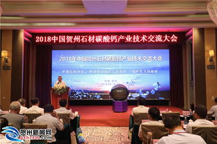 賀州大步邁進“點石成金”新時代 技術交流驅動產業升級