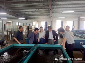 日韓專家訪問江蘇省淡水水產研究所揚中基地，共促水產技術交流與合作