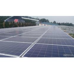 金鼎盛世 以服務至上的理念，引領太陽能發電行業新篇章